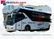 Mengenal Tiket Bus Super Eksklusif dari PO di Indonesia